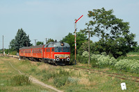 kép