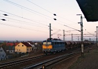 kép