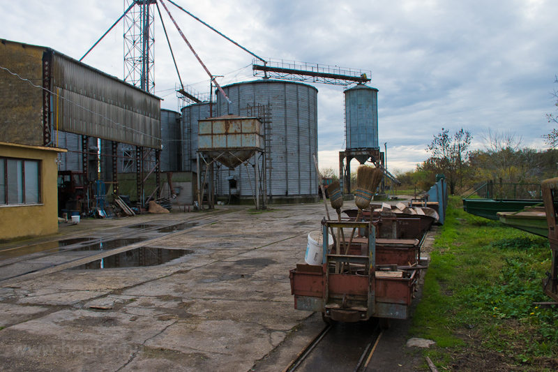 Silos for the fish food photo