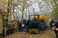 The Fehr-tavi Halgazdasgi Vast UE28 6 seen at I/9. siding / Beretzk Pter killt-hz (Kiskunsgi Nemzeti Park)