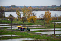 The Szegedi Halgazdasgi Kisvast UE-28 6 seen at Szegedfish kft. Kzponti Telep