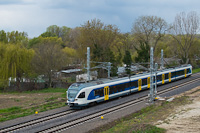 kép