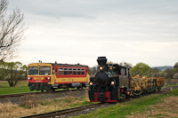 The Csmdri Erdei Vast 490,2002 <q>bel</q> seen between Csmdr EV and Nyldomb, near the junction the standard gauge railway - on that track is the MV-START 117 192 between Lenti and Csmdr-Pka