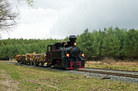 The Csömödéri Erdei Vasút 490,2002 <q>Ábel</q> seen hauling a wood-loaded freight train at Pörkölt station
