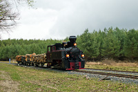 The Csmdri Erdei Vast 490,2002 <q>bel</q> seen hauling a wood-loaded freight train at Prklt station