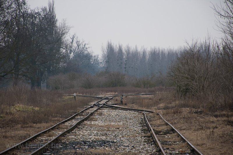 Imremajor kitrő s a Hunyadi Akol-delta fot