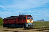A MÁV-START 628 157 Mándok állomáson a gyümölcsfás, virágzó hegyoldal előtt