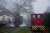 The Csmdri Erdei Vast C50 402 and the steam locomotive Abel seen at Csmdr EV