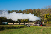 The Csmdri Erdei Vast 490 2002 <q>bel</q> seen at Trszneki elgazs