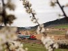 A MÁV-Trakció Zrt. 478 032 (ex-M47 2032) pályaszámú Dácsiája Mátraballa és Mátraderecske között