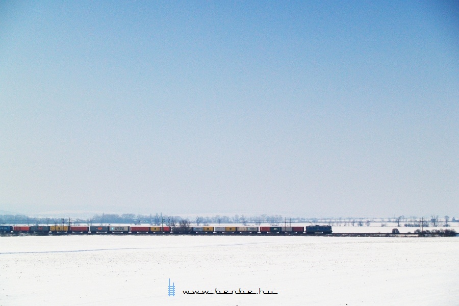 A container carrier freight train between Pettend and Baracska stops photo