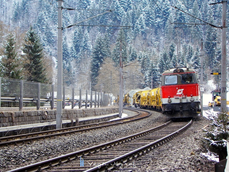 The BB 2043 010-4 near Hopfgarten station photo