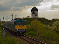 kép