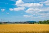 A MÁV Nosztalgia kft. 424 247 Tapolca és Nemesgulács-Kisapáti között