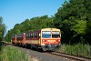A MÁV-START 117 252 Balatonfőkajár felső és Füle között