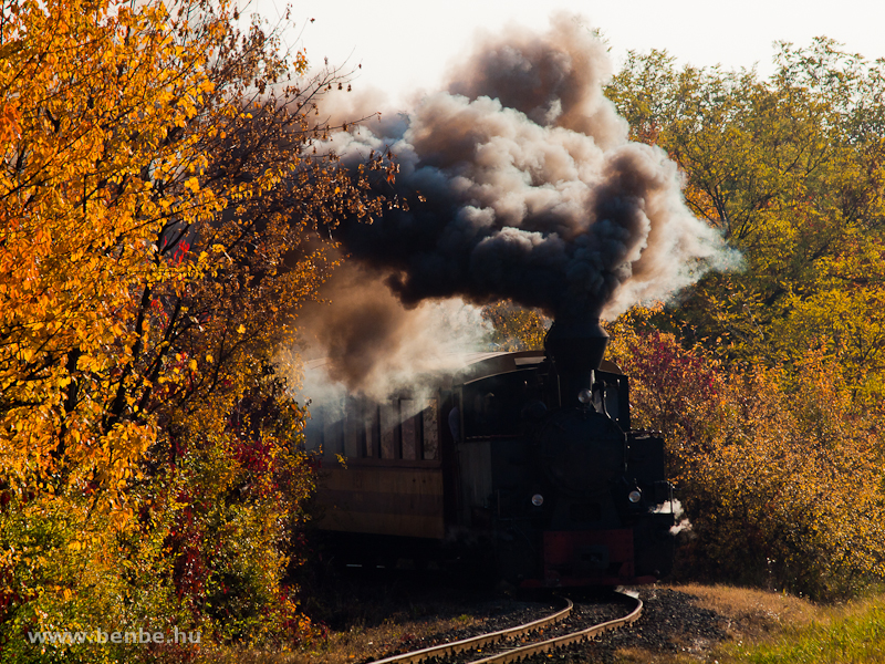 The 490 2005 Gyngyi of the Mtravast between Pipishegy and Mtrafred als photo