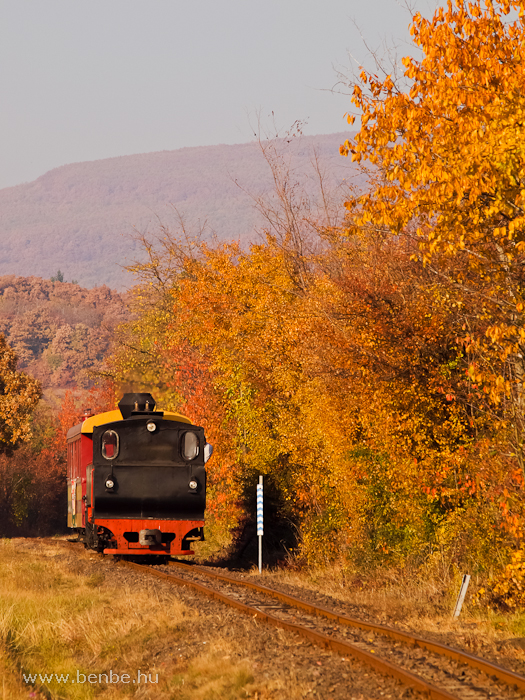 A Mtravast 490 2005 plyaszm, Gyngyi nevű gőzmozdonya Mtrafred als s Pipishegy kztt fot