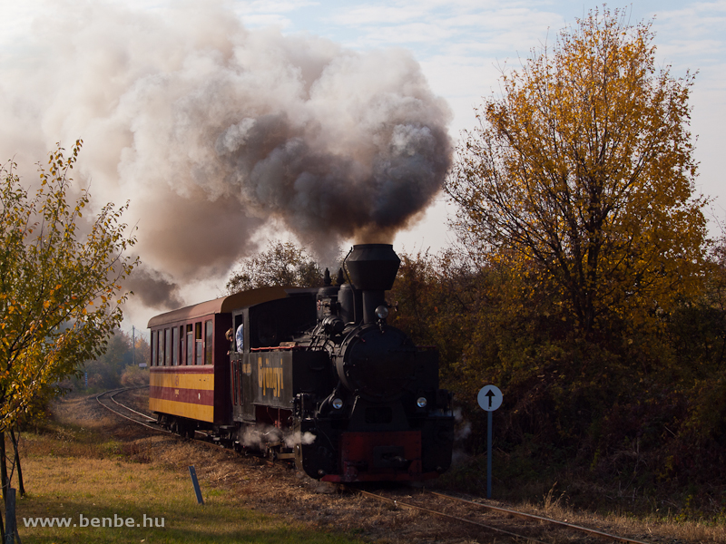 The 490 2005 Gyngyi of the Mtravast between Farkasmly-Borpinck and Pipishegy photo