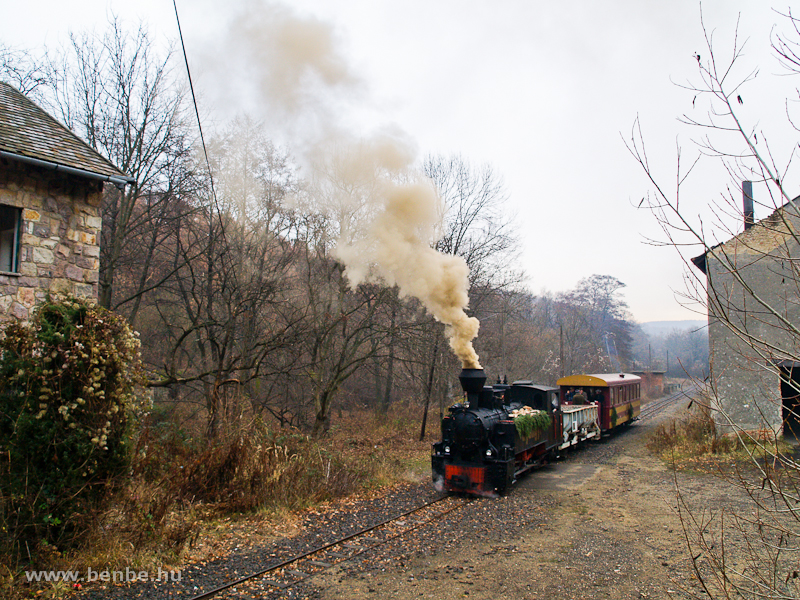 The Gyngyi steam locomotive at rlm station photo