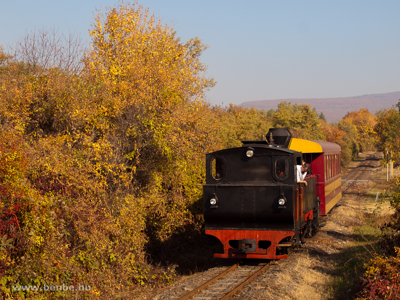 The 490 2005 Gyngyi of the Mtravast between Farkasmly-Borpinck and Pipishegy photo