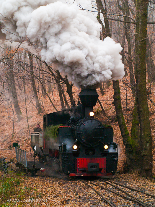 The Gyngyi steam locomotive at Lajoshza station photo