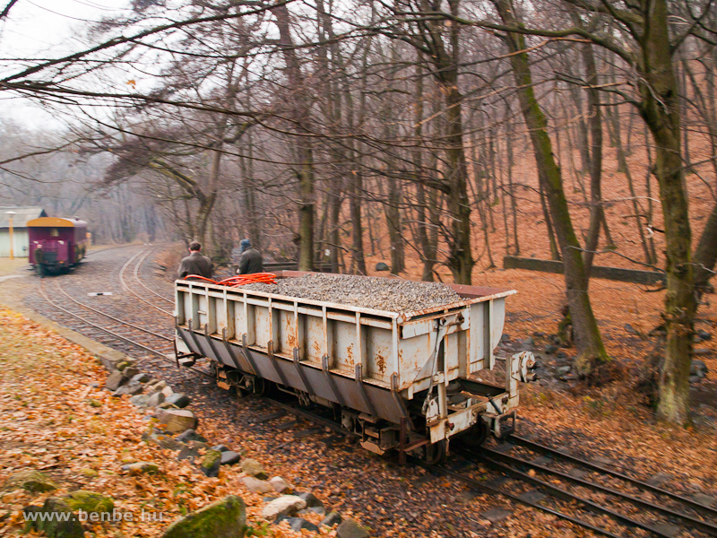 Rolling freely at Lajoshza station photo