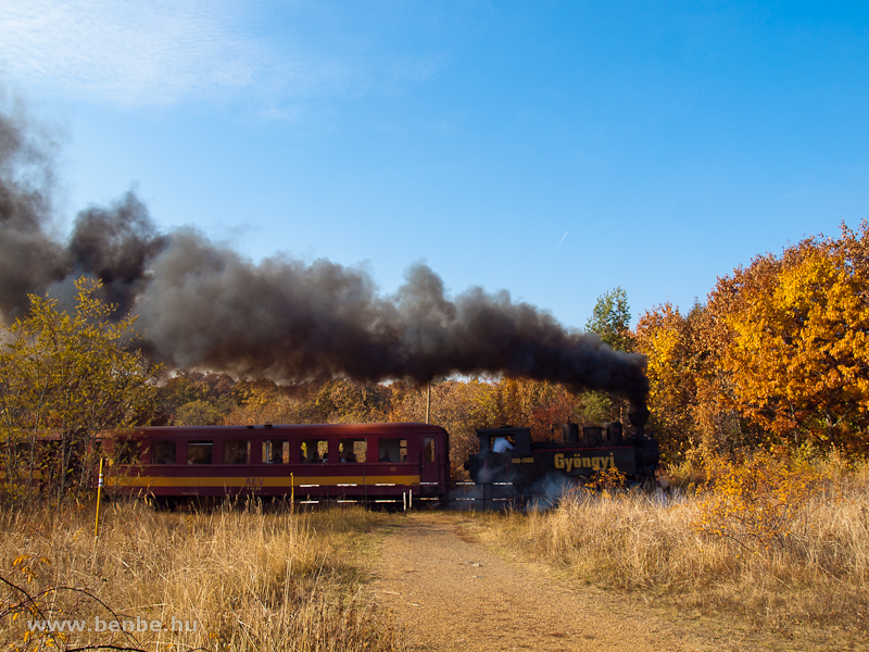 The 490 2005 Gyngyi of the Mtravast between Pipishegy and Mtrafred als photo