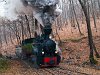 The Gyngyi steam locomotive at Lajoshza station