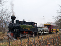 The Gyöngyi steam locomotive at Gyöngyös at the branching of the two lines