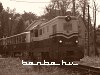 Mk45 2001 Normafa és Csillebérc között