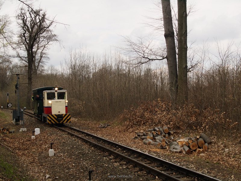 A GV/Gyermekvasút C50,3703  fotó