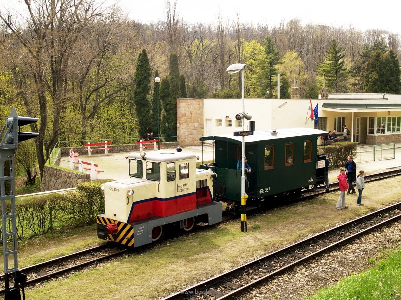 C50,3703 Szépjuhásznén fotó