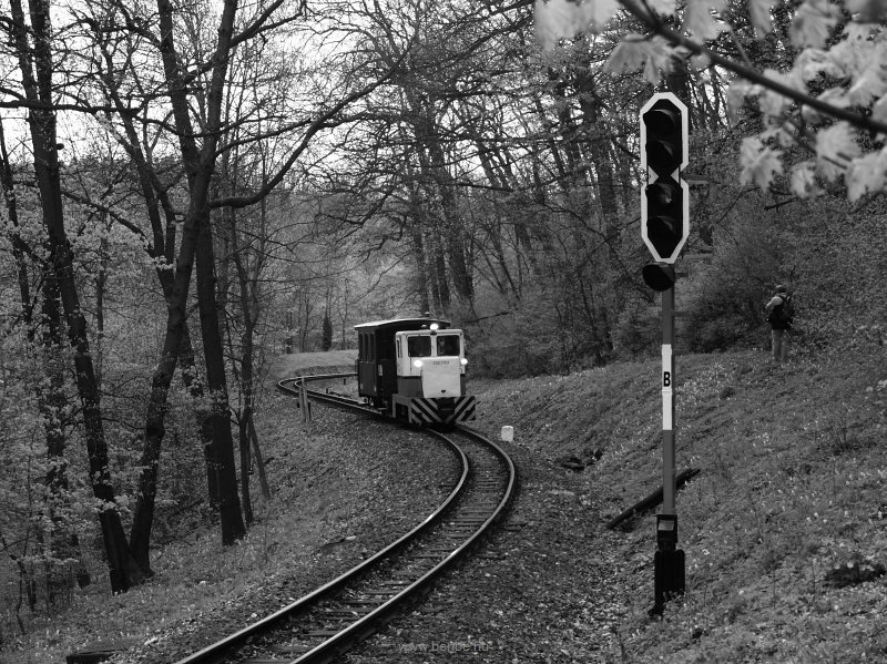 C50,3703 Szépjuhásznén fotó