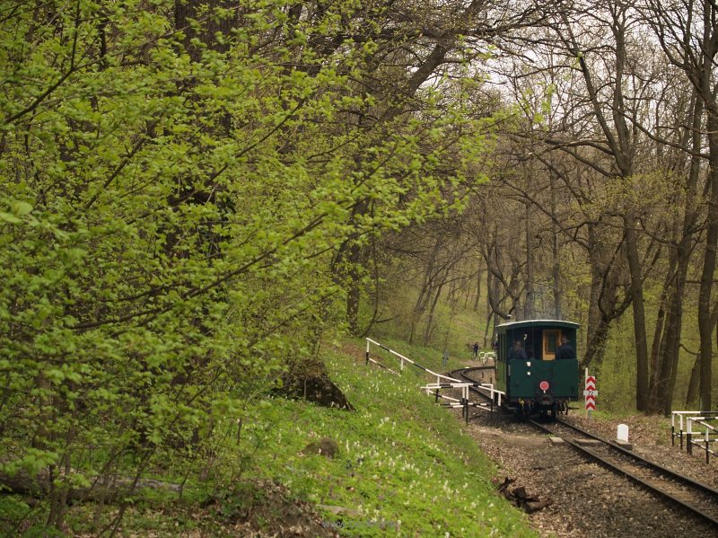 C50,3703 Szépjuhásznén fotó