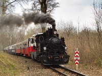 The 490,039 and the Mk45 2001 with the special train between Csillebrc and Virgvlgy stations