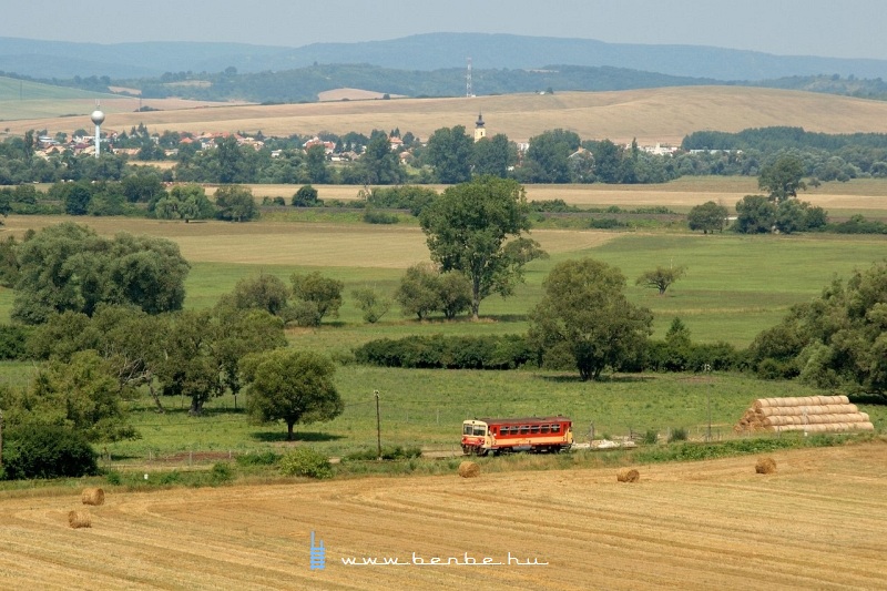 Ismeretlen Bzmot Ngrdszaklnl fot