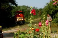 The M47 2032 at Rrspuszta stop and level crossing