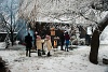 Christmas vibes at the CFF Vişeu / Wassertalbahn / Felsővisi Erdei Vast / Viseu forestry Railway's base