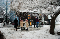 Christmas vibes at the CFF Vişeu / Wassertalbahn / Felsővisi Erdei Vast / Viseu forestry Railway's base