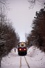 A MÁV Mk45 2005 Széchenyi-hegy és Normafa között a ködben
