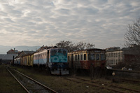 kép