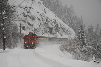 The HŽ 1 141 310 seen between Moravice and Brod Moravice