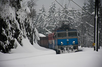 The HŽ 1 141 202 seen hauling a freight train at Lokve