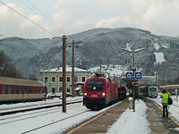 kép