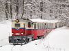 Mk45 2006 érkezik Hűvösvölgybe