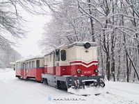 kép