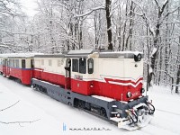 kép