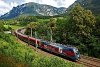 Az ÖBB 1116 231-2 <q>A1-Werbelok</q> Payerbach-Reichenau és Küb között a Schwarzatal-viaduktnál
