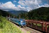 Az ÖBB / ČD 1216 249 Payerbach-Reichenau és Küb között egy cseh Railjet vonattal Graz felé menet