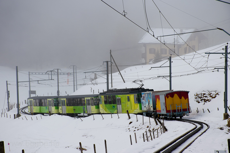 The BVB BDeh 4/4 83 seen between Villars-sur-Ollon Golf and Col-de-Soud photo